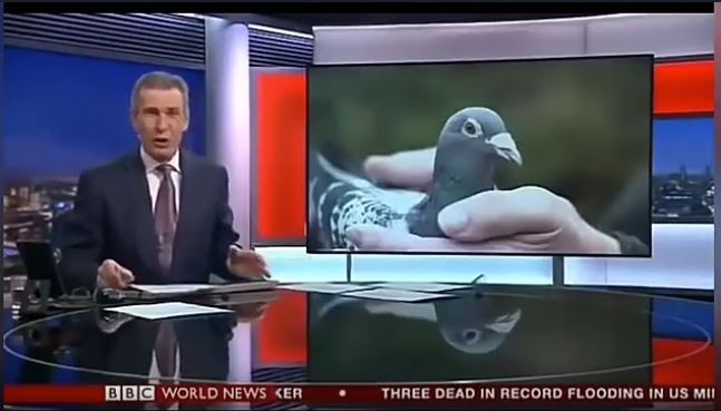 world news